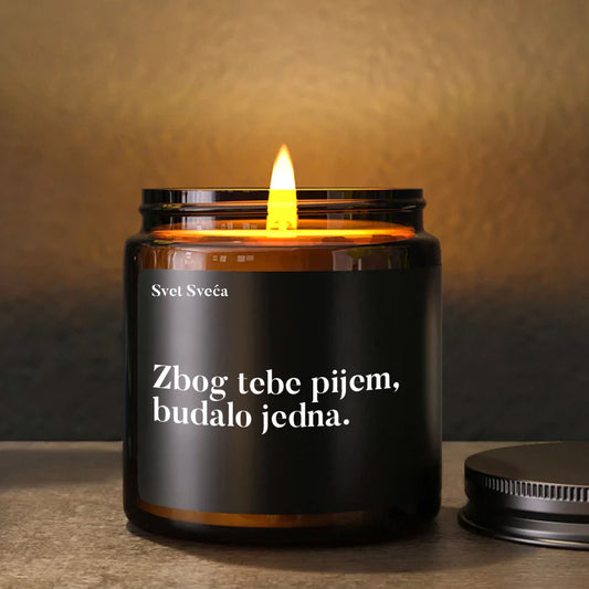 Zbog tebe pijem, budalo jedna